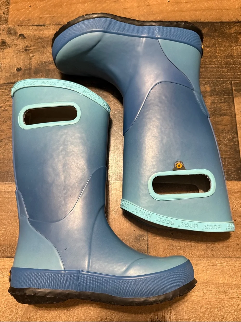 Bogs Kids Blue Ombré Rain Boot